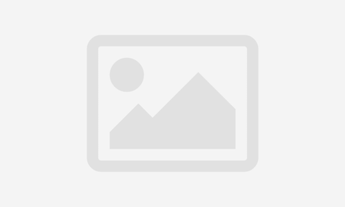 The Best Workout Full of Follow Along Programs